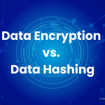 Data Encryption vs. Data Hashing